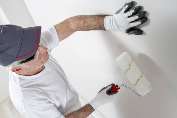 Best Mold Prevention Services  in Hayfield, MN