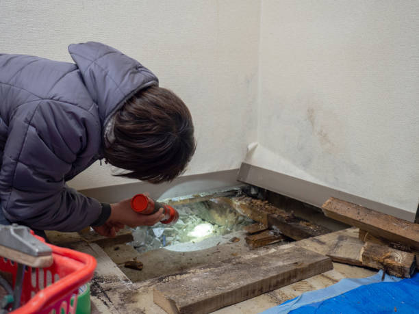 Best Air Quality Testing for Mold Spores  in Hayfield, MN