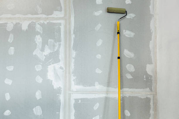 Best Black Mold Removal  in Hayfield, MN