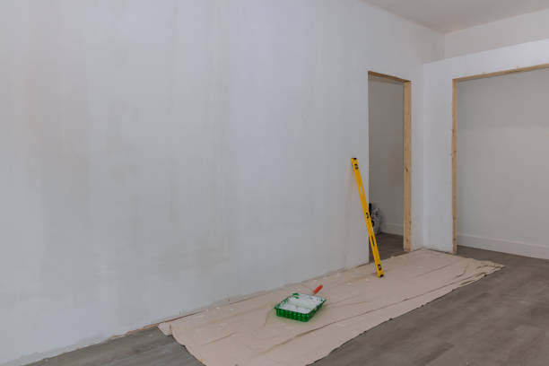Trusted Hayfield, MN Mold Removal Experts