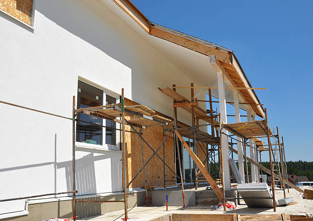 Best Environmental Consulting for Mold Prevention  in Hayfield, MN