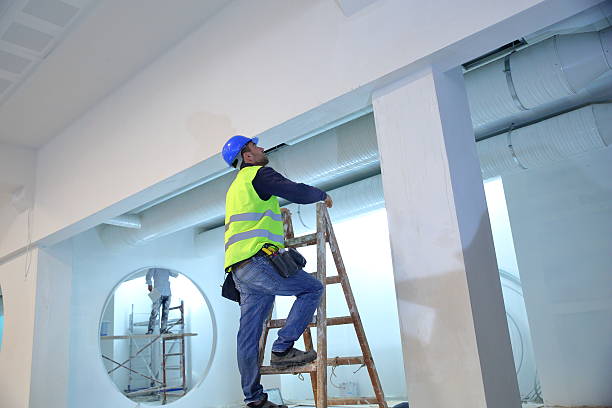 Best Attic Mold Removal  in Hayfield, MN
